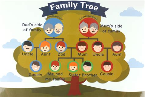 家庭樹的概念及意義